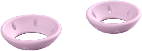 Pessaria