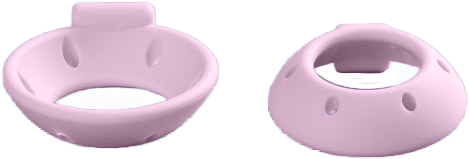 Pessaria