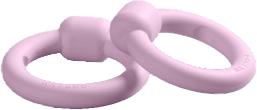 Pessaria
